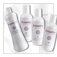 Frisette : FORMULARIO DE Procesamento - DEMERAL